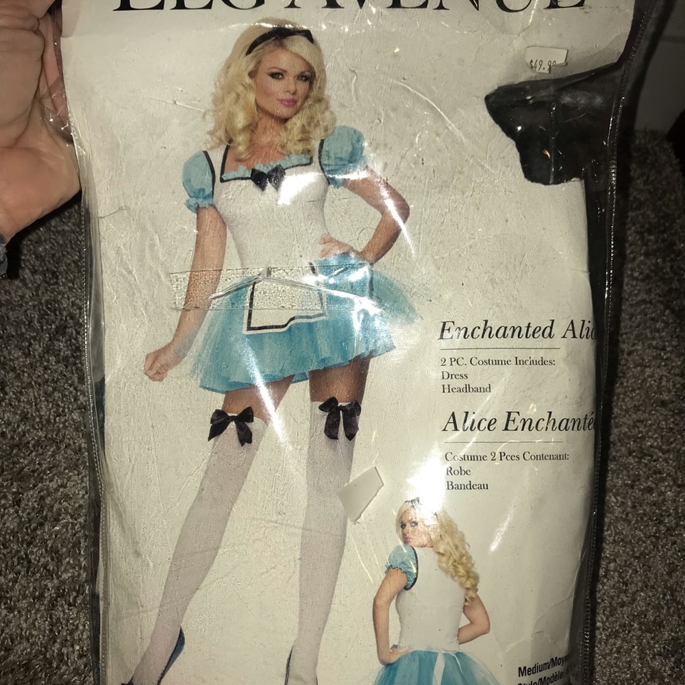 Alice and Wonderland Women’s Costume